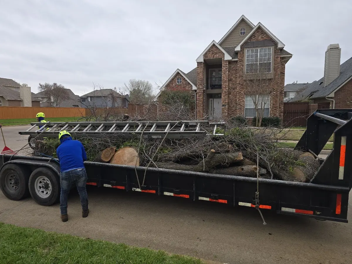 Expert Lot Clearing with proper safety equipment in Vance